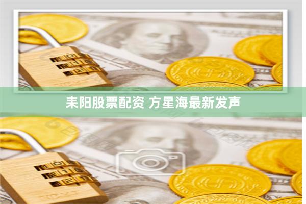 耒阳股票配资 方星海最新发声
