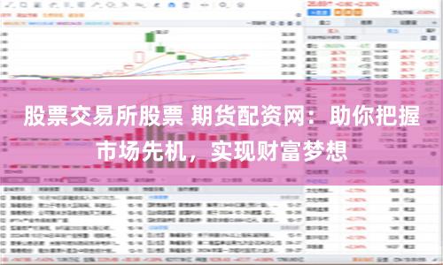 股票交易所股票 期货配资网：助你把握市场先机，实现财富梦想