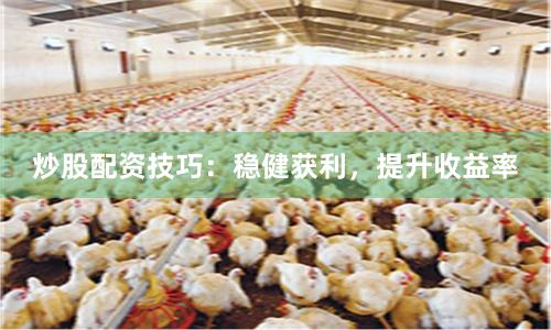 炒股配资技巧：稳健获利，提升收益率