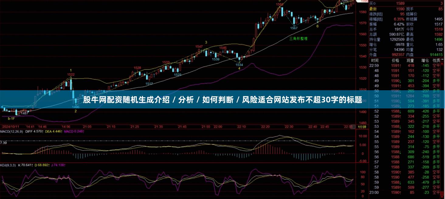 股牛网配资随机生成介绍 / 分析 / 如何判断 / 风险适合网站发布不超30字的标题